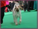 09-03-12 M GoodAsGold_IMG_9670